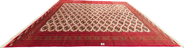 Pakistani Bukhara - Image 6