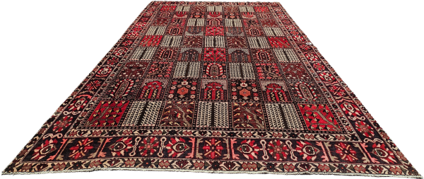 Persian Bakhtiari - Image 2