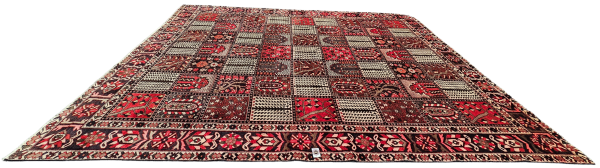 Persian Bakhtiari - Image 3