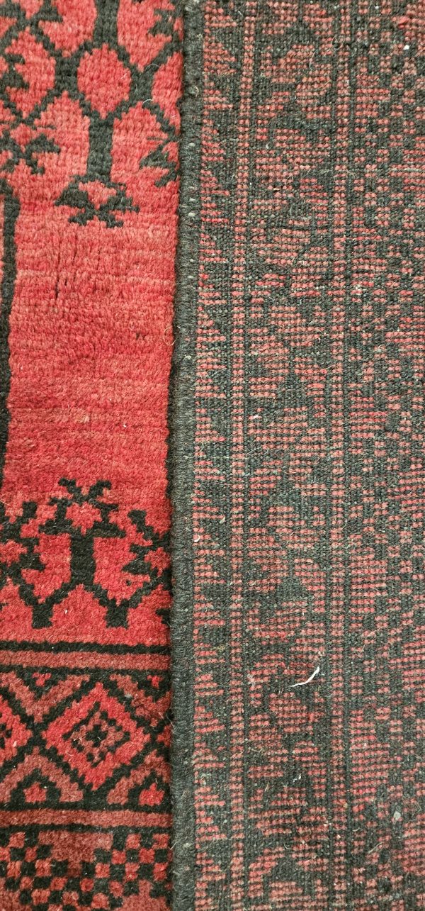 Persian Akcha - Image 5