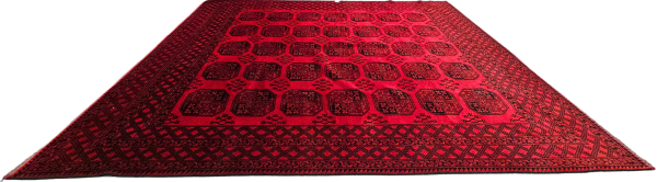 Persian Akcha - Image 4