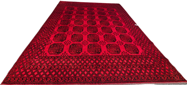 Persian Akcha - Image 3