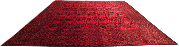 Persian Akcha - Image 4