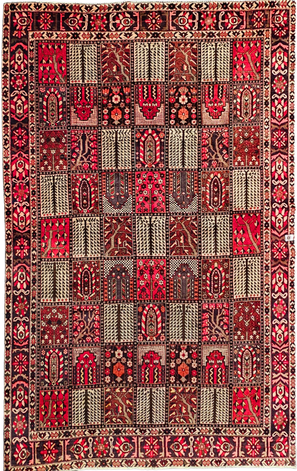 Persian Bakhtiari