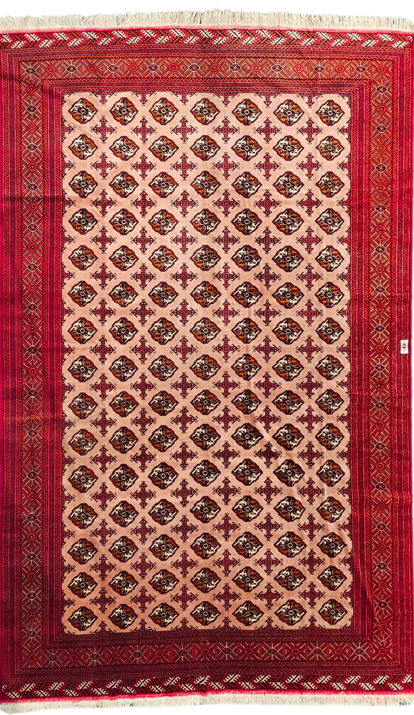Pakistani Bukhara