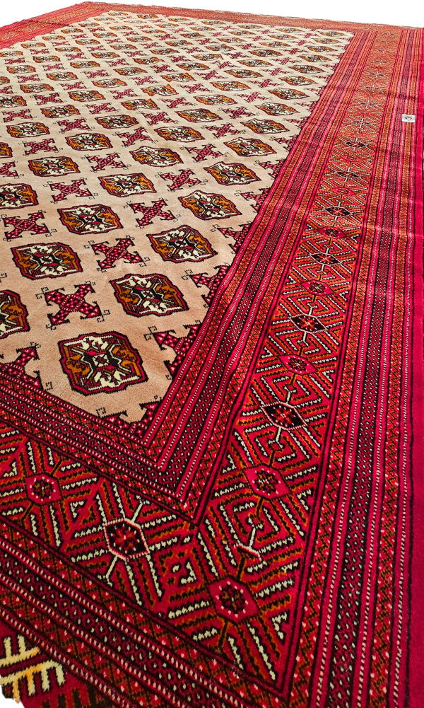 Pakistani Bukhara - Image 2