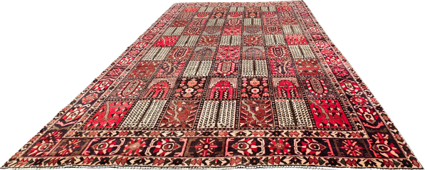 Persian Bakhtiari - Image 6