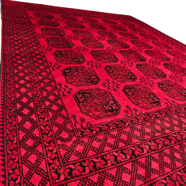 Persian Akcha - Image 2